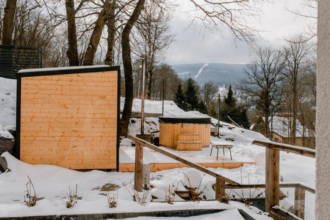 Apartamenty Larice - Podgrzewany Basen, Balia I Sauna Świeradów-Zdrój Exterior foto